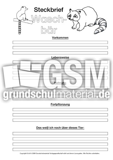 Waschbär-Steckbriefvorlage-sw.pdf